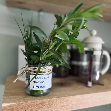 Du Grand Beaumont Apartmán